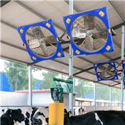奶牛场通风降温风扇安装 郑州恒力牛场悬挂式风机价格 喷淋风扇