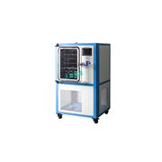 实验室小型真空冷冻干燥机 小型冷冻干燥机 欢迎来电咨询