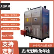 豆腐厂用燃气蒸气发生器 水泥制品蒸养食品烘干蒸汽热源机