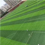 新奥特体育 幼儿园人造草坪 足球人造草坪 人造草坪测量施工