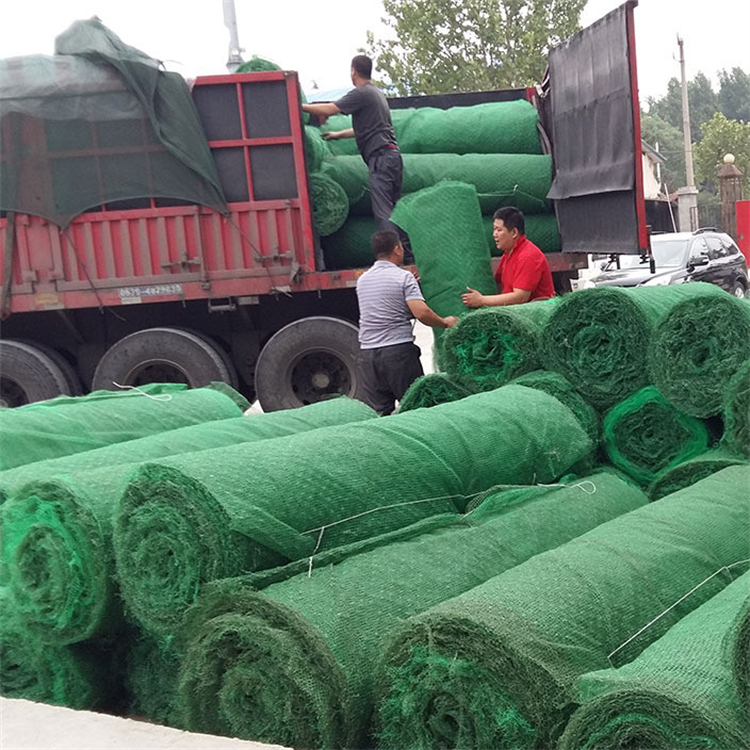 固土三维植被网防止水土流失 加筋三维植被网蓝森