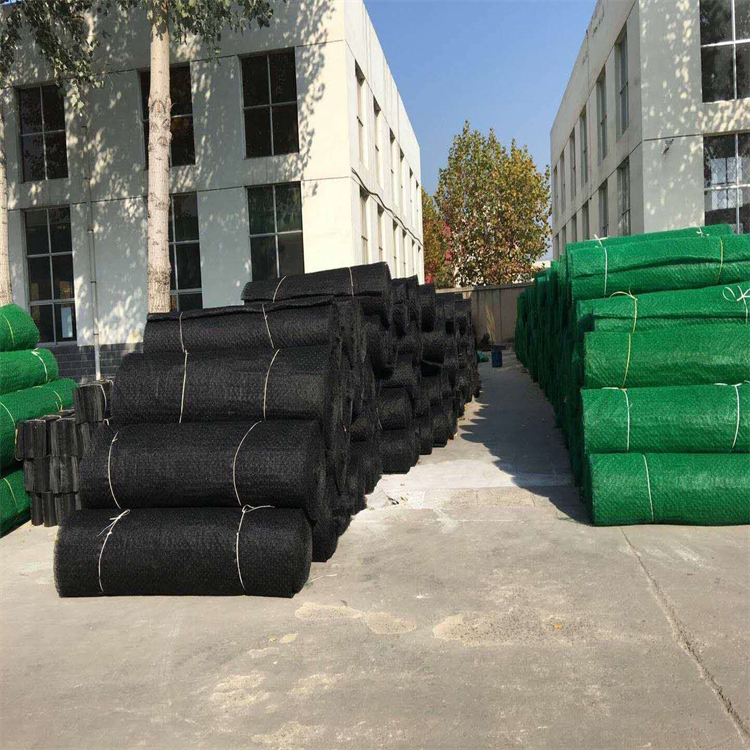 固土三维植被网防止水土流失 加筋三维植被网蓝森