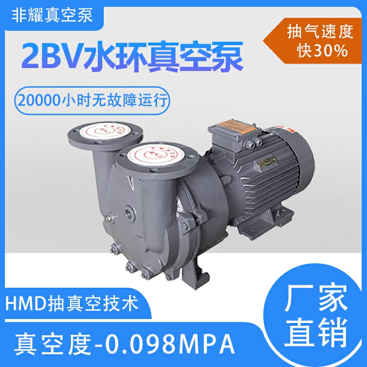 2BV水环真空泵2.jpg