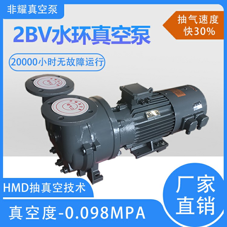 2BV水环真空泵6.jpg