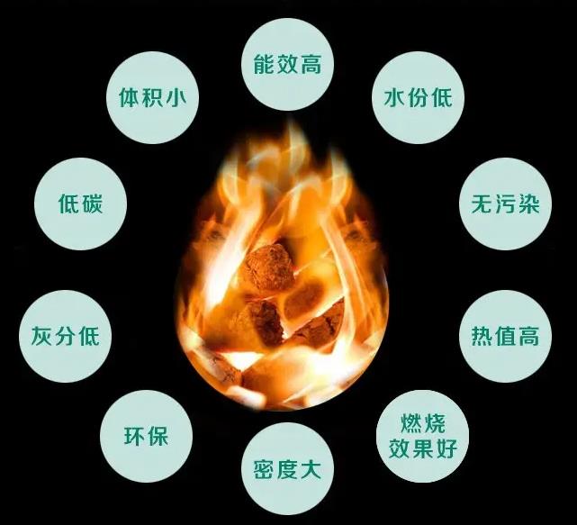 生物燃料固体燃料1.jpg 生物燃料固体燃料1.jpg