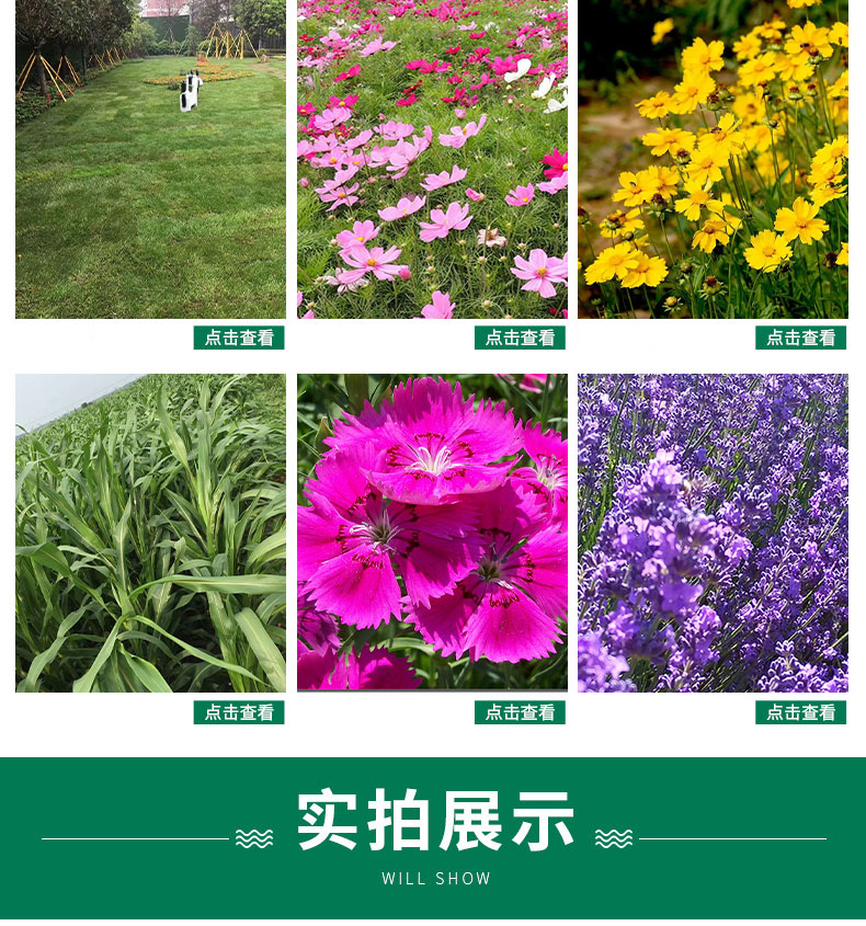 未标题-1_03.jpg