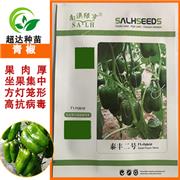 泰丰二号方椒种子青椒 菜椒种苗 方灯笼形果实 深绿色抗病性强