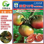 亚蔬12号口感草莓番茄种子  绿肩酸甜铁皮草莓西红柿种子 广州亚蔬
