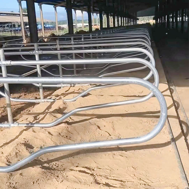 新型牛限位栏牛限位栏图片牛羊养殖设备