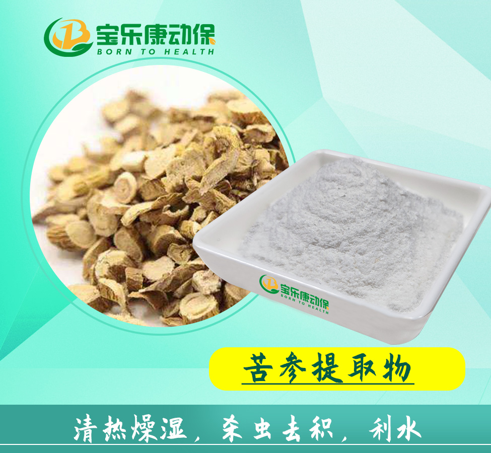 苦参提取物.jpg