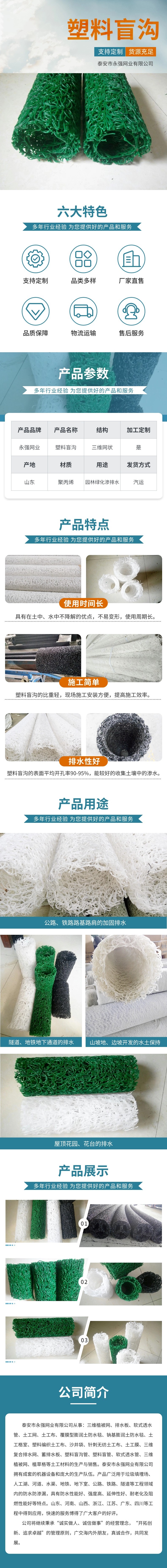 塑料盲沟.jpg