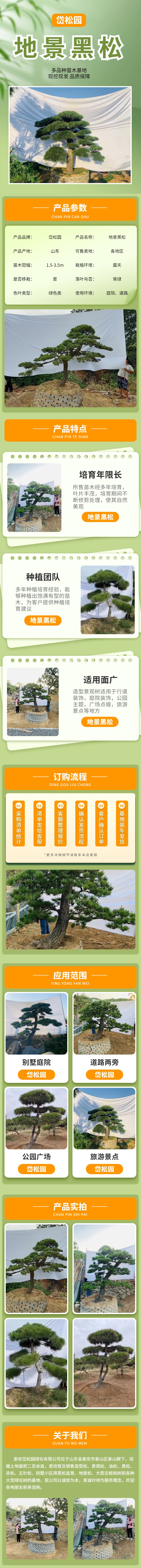 地景黑松 岱松园.jpg