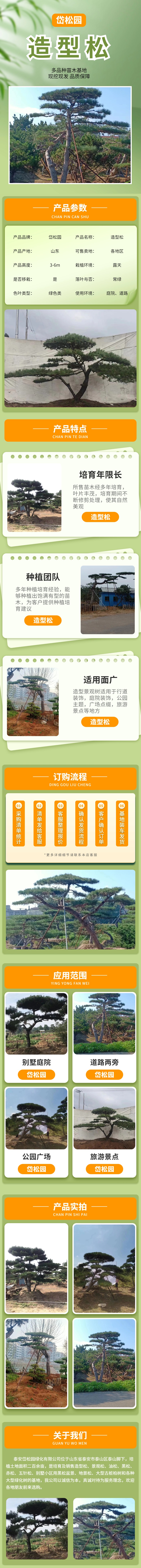 造型松 岱松园.jpg