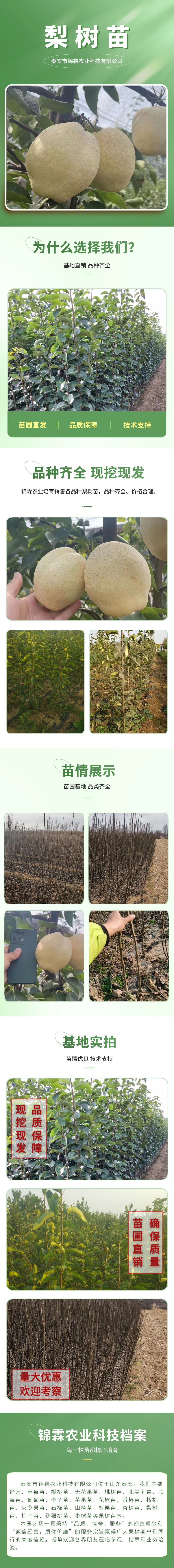 电商零食_水果产品展示详情页(2)_副本_副本_副本_副本.jpg