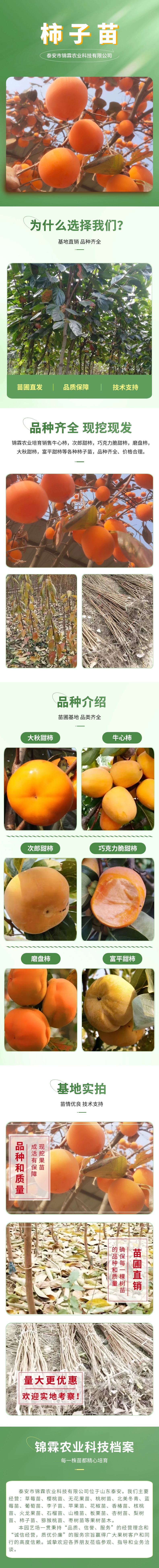 电商零食_水果产品展示详情页(2)_副本.jpg