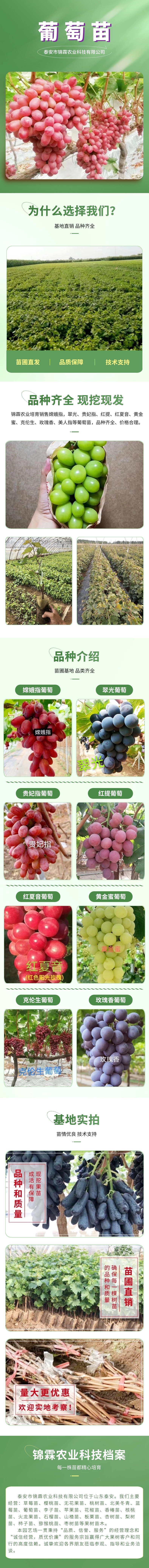 电商零食_水果产品展示详情页(2)_副本_副本.jpg