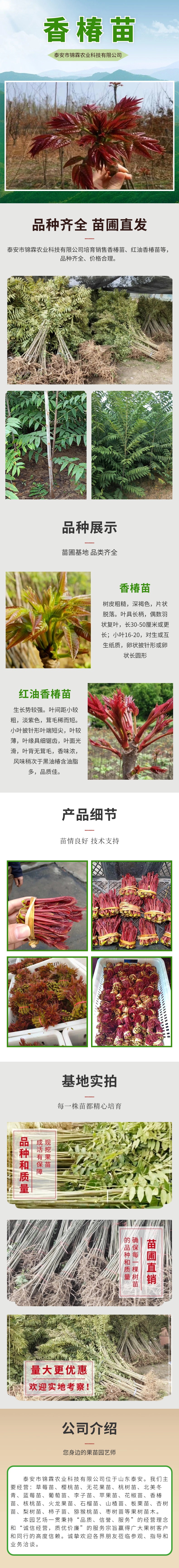 实景常规茶叶详情页_副本_副本_副本.jpg