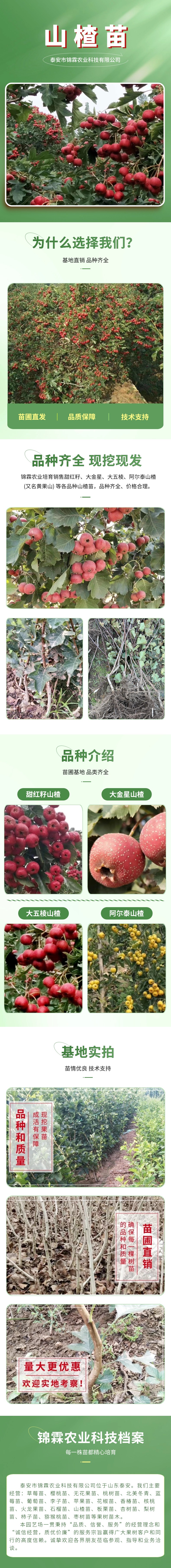 电商零食_水果产品展示详情页(2)_副本_副本_副本.jpg