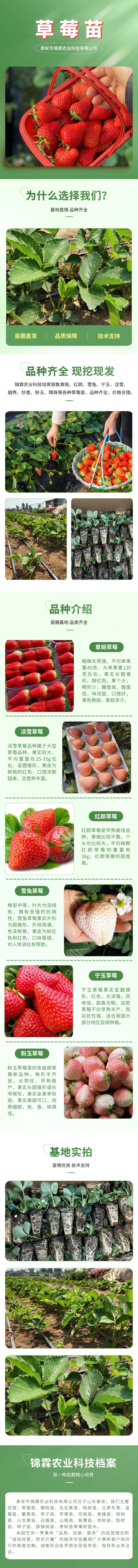 草莓.jpg