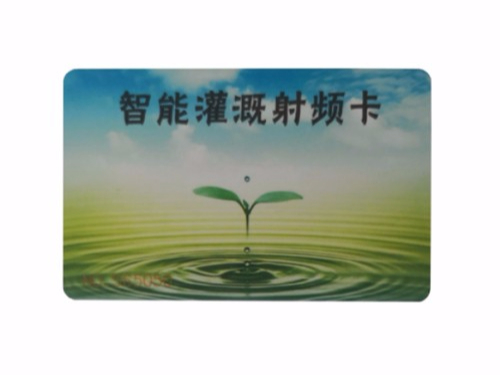 db9db975bc3b46a6ba9b7c7cd4a7db1e_12.jpg