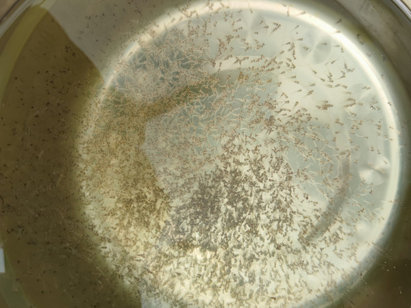 蜂蜜浏览器_1614573017267.jpg