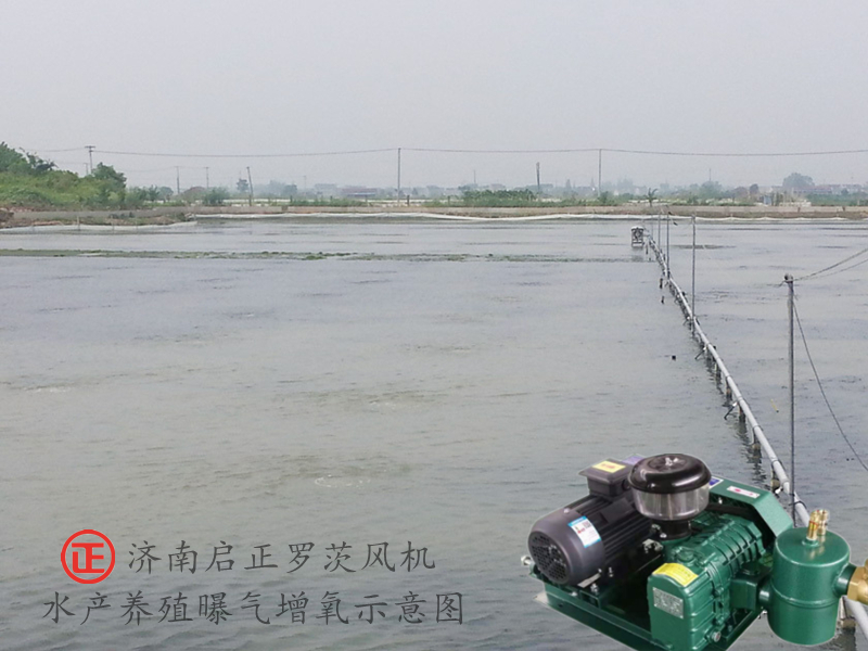 曝气增氧示意图.jpg