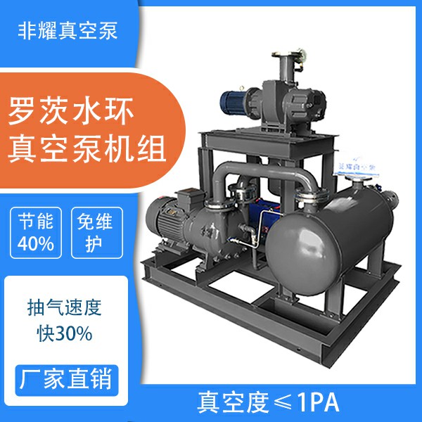 罗茨水环真空泵机组.jpg