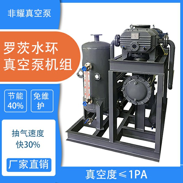 罗茨水环真空泵机组2.jpg