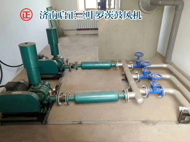 罗茨风机现场图 (5)_副本.jpg