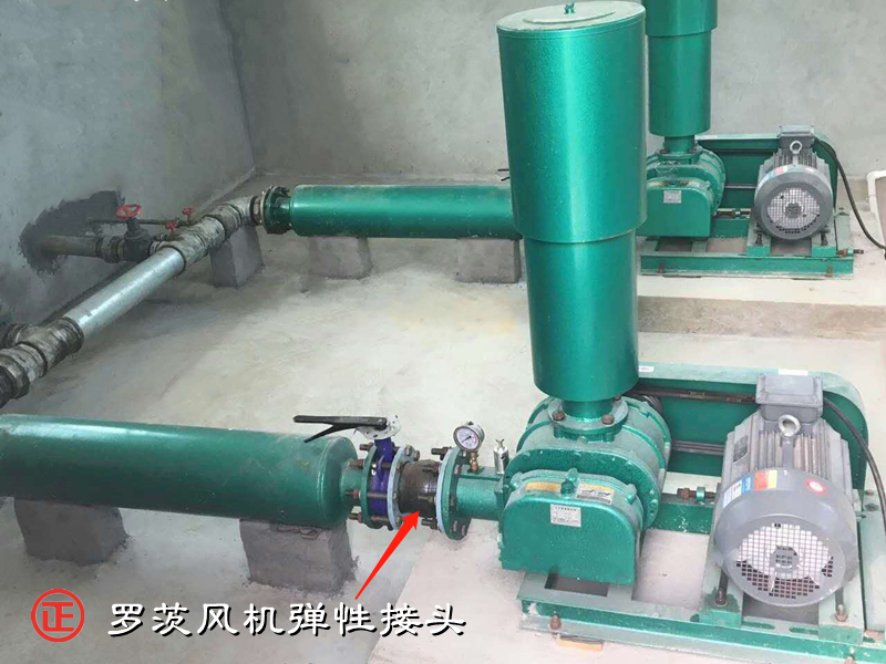 罗茨风机弹性接头.png