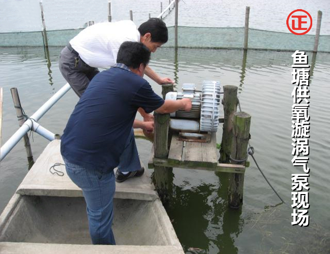 漩涡风机水产养殖_副本.jpg