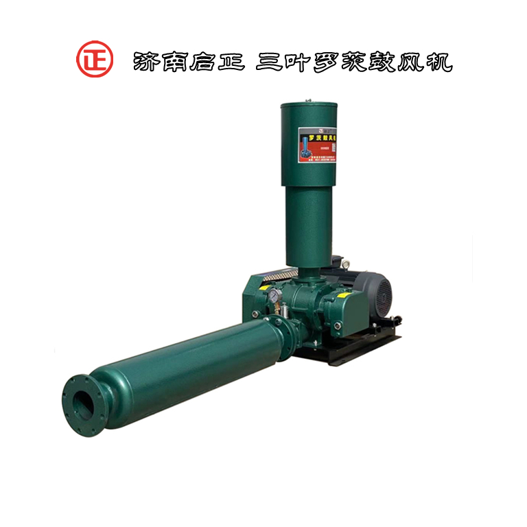罗茨100双油箱2_副本_副本.jpg