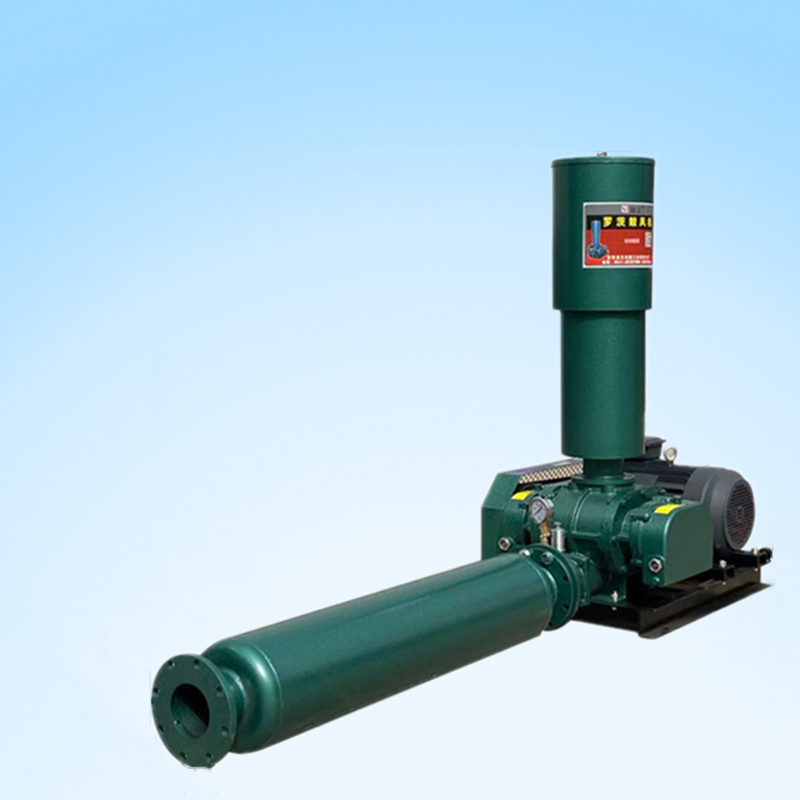 罗茨100双油箱_副本 (3).jpg