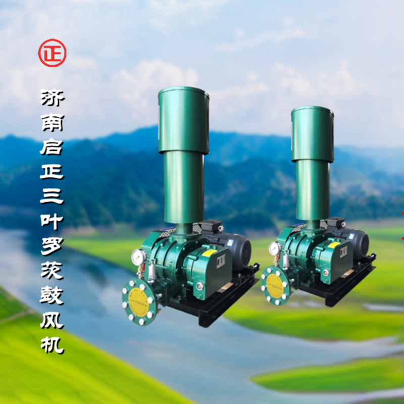 罗茨鼓风机 (2).jpg