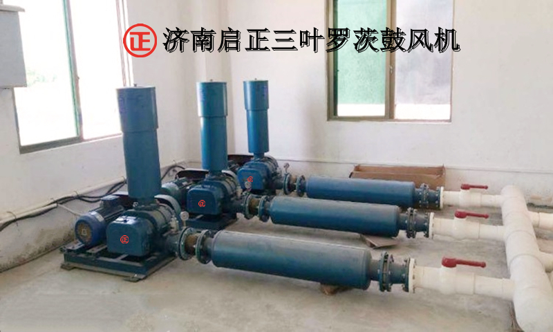 罗茨风机现场图1.jpg