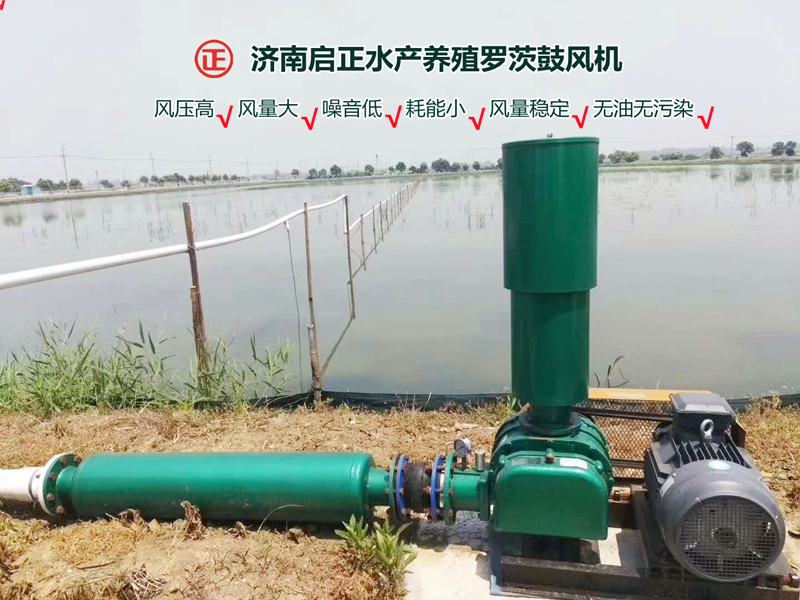 罗茨风机现场图 (3)_副本.jpg