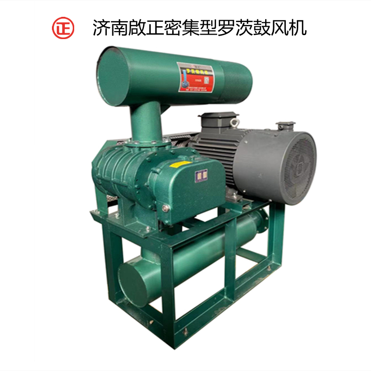 CCR-150罗茨风机(密集型） (2)_副本.jpg