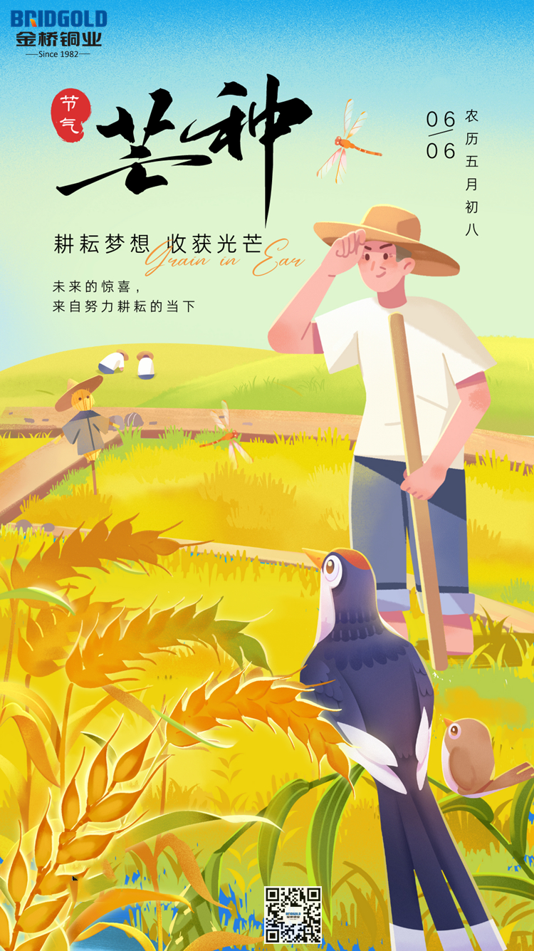 黄蓝色芒种麦田农民劳作质感插画手绘节气节日分享中文手机海报.jpg